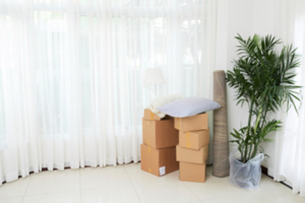 houston-movers-texas-team